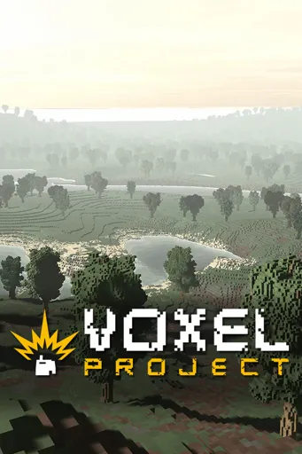 Boxart of game Voxel Project Vr